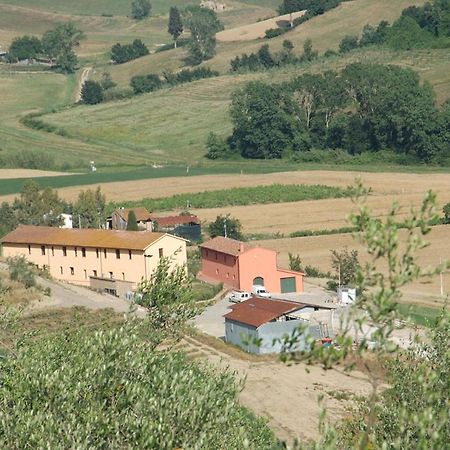 Azienda Agricola Ed Agrituristica Cafaggio Villa San Miniato Eksteriør billede