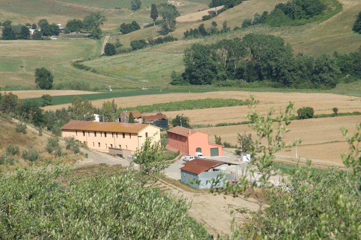 Azienda Agricola Ed Agrituristica Cafaggio Villa San Miniato Eksteriør billede